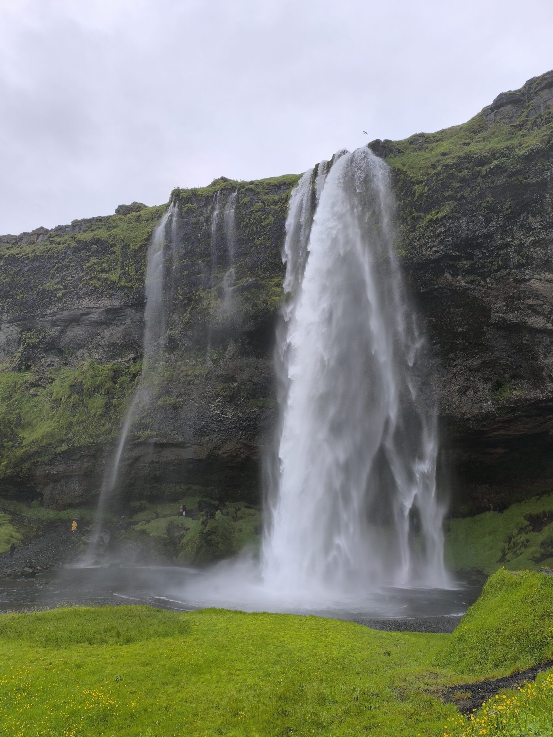 La cascade de Seljalandsfoss, cascade emblématique d'Islande la cascade de seljalandsfoss cascade emblematique d islande 1 scaled la-cascade-de-seljalandsfoss-cascade-emblematique-d-islande-1