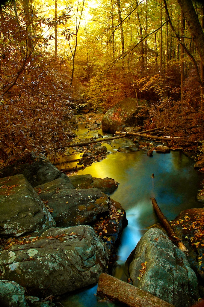 Les cascades jumelles de Anna Ruby sont merveilleuses à l'automne les cascades jumelles de anna ruby falls merveilleuses a lautomne georgie usa 6 les-cascades-jumelles-de-anna-ruby-falls-merveilleuses-a-lautomne-georgie-usa-6