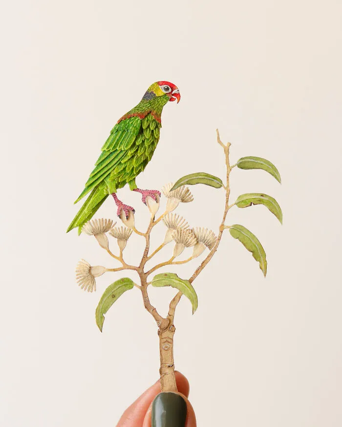 40 perroquets miniatures de papier 40 perroquets miniatures de papier 6 40-perroquets-miniatures-de-papier-6