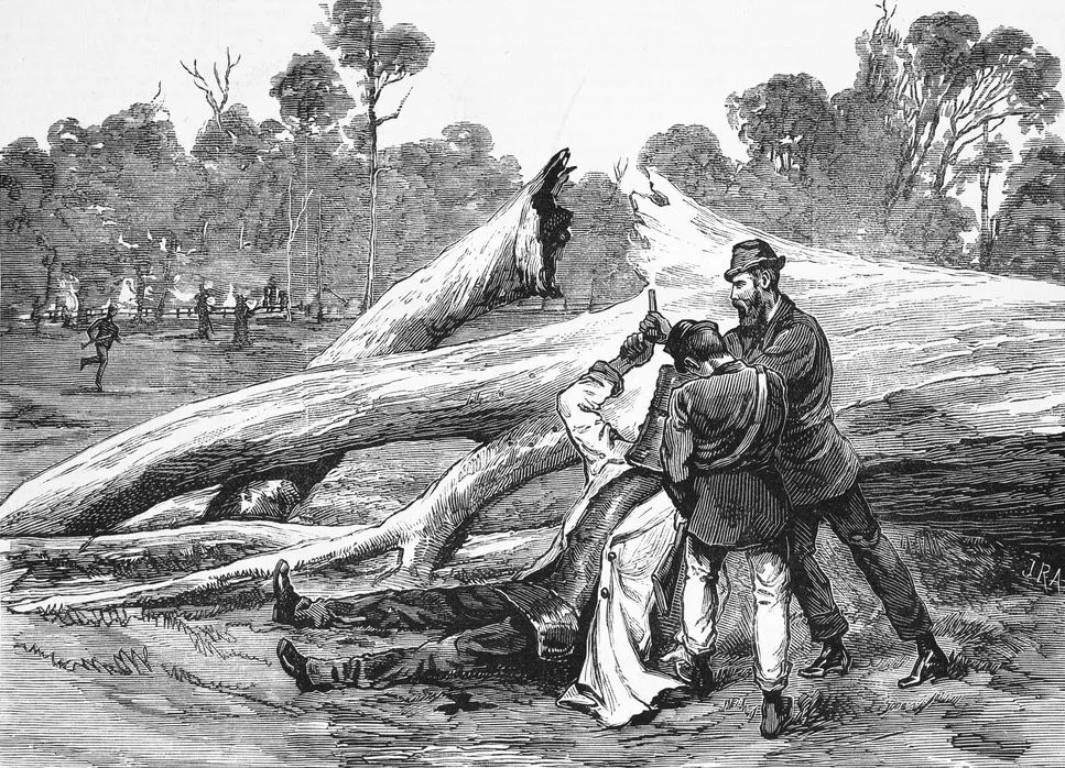 Le combat légendaire de Ned Kelly, le Iron Man australien du XIXème siècle le combat legendaire de ned kelly le iron man australien du xviiieme siecle 7 le-combat-legendaire-de-ned-kelly-le-iron-man-australien-du-xviiieme-siecle-7.