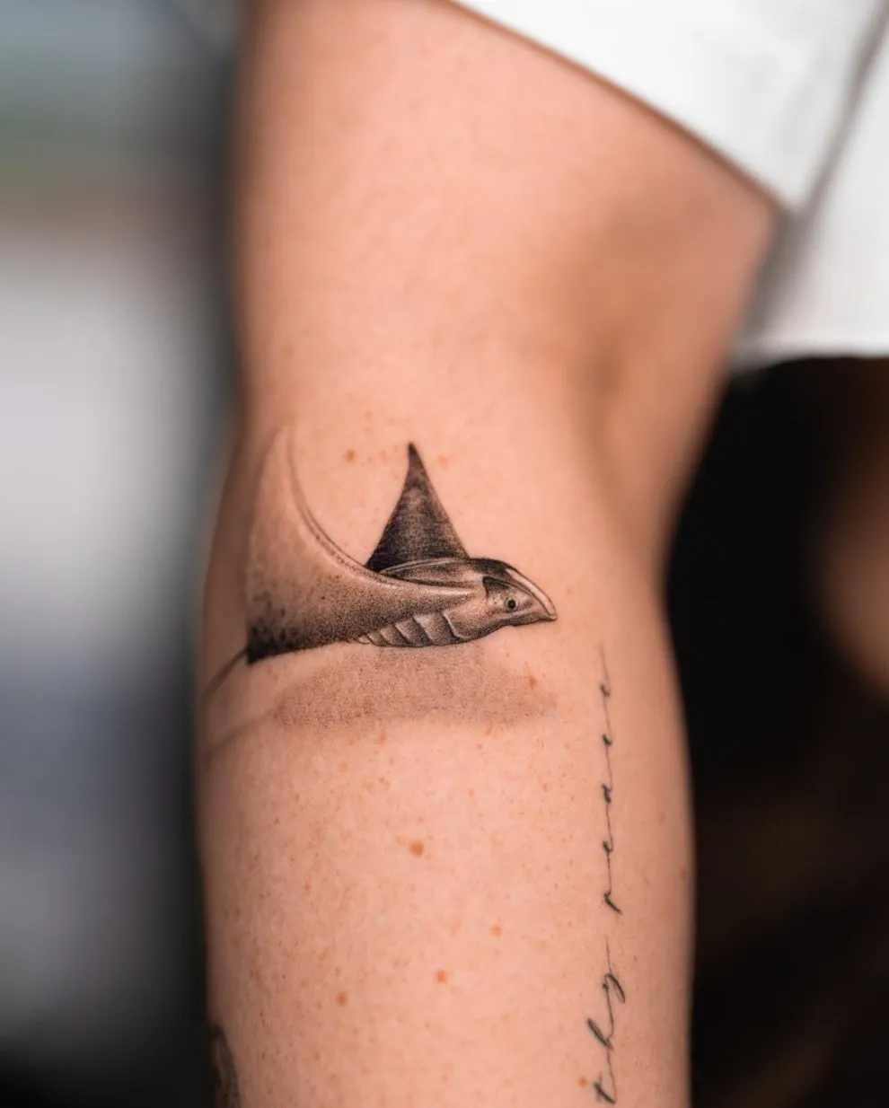 Tatu Panda, célèbre artiste du tatouage hyperréaliste de Miami Tatu panda celebre artiste du tatouage hyperrealiste de miami 17 Tatu-panda-celebre-artiste-du-tatouage-hyperrealiste-de-miami-17