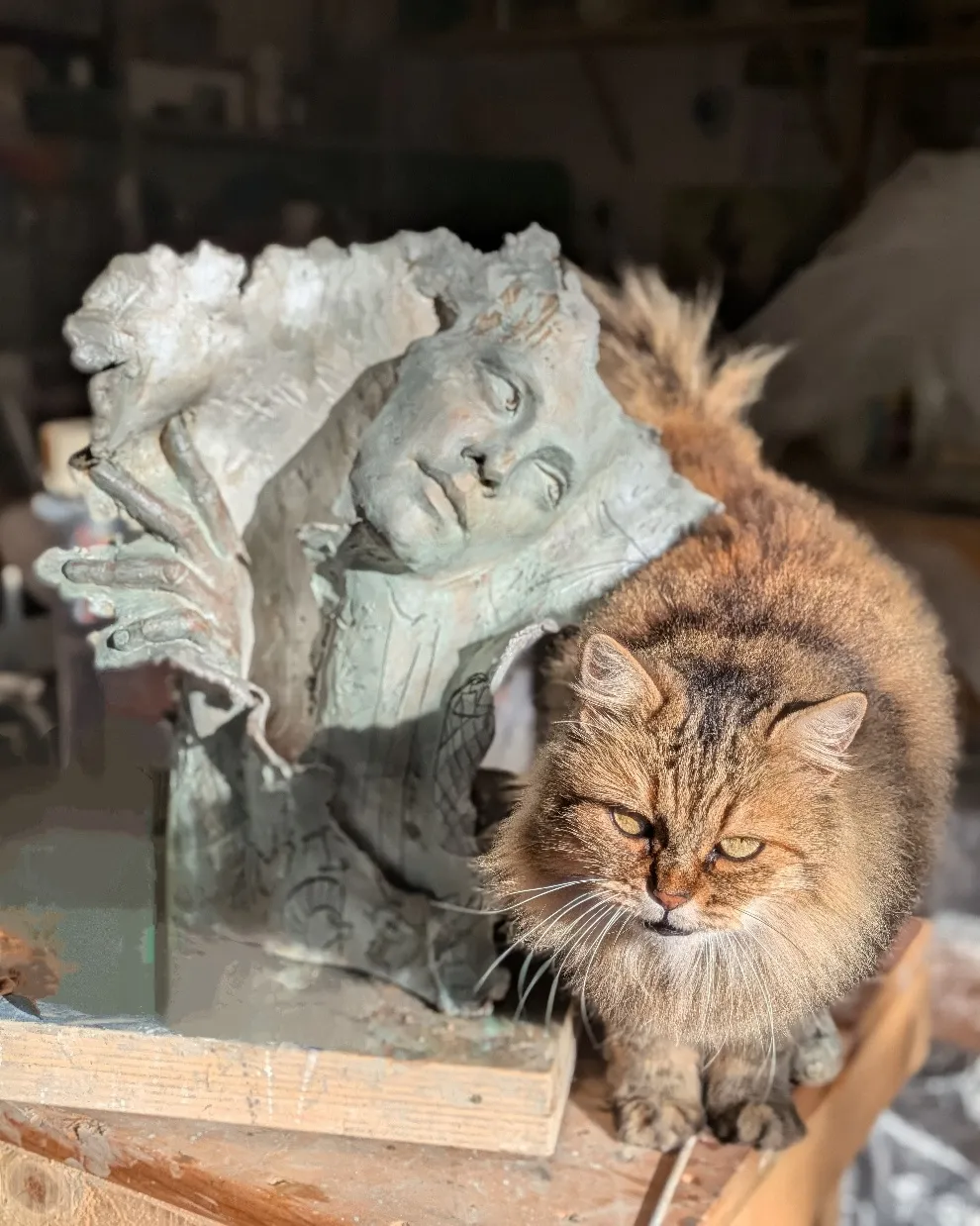 Des visages sculptés dans des pages : l'art étonnant de Paola Grizi des visages sculptes dans des pages lart etonnant de paola grizi 26 des-visages-sculptes-dans-des-pages-lart-etonnant-de-paola-grizi-26