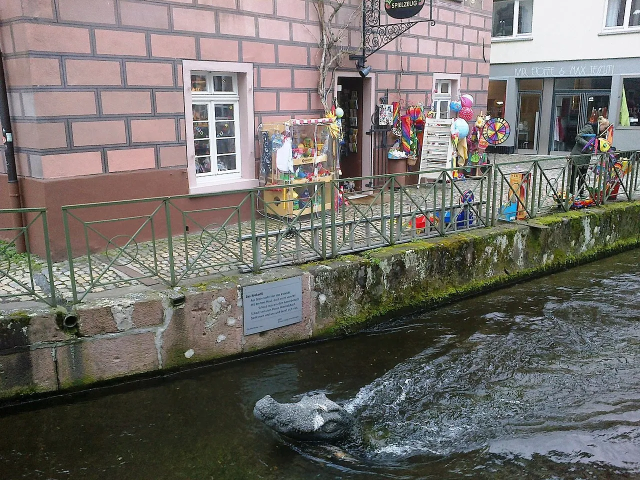 Un crocodile dans un canal de Freiburg un crocodile dans un canal de freiburg 4 un-crocodile-dans-un-canal-de-freiburg-4