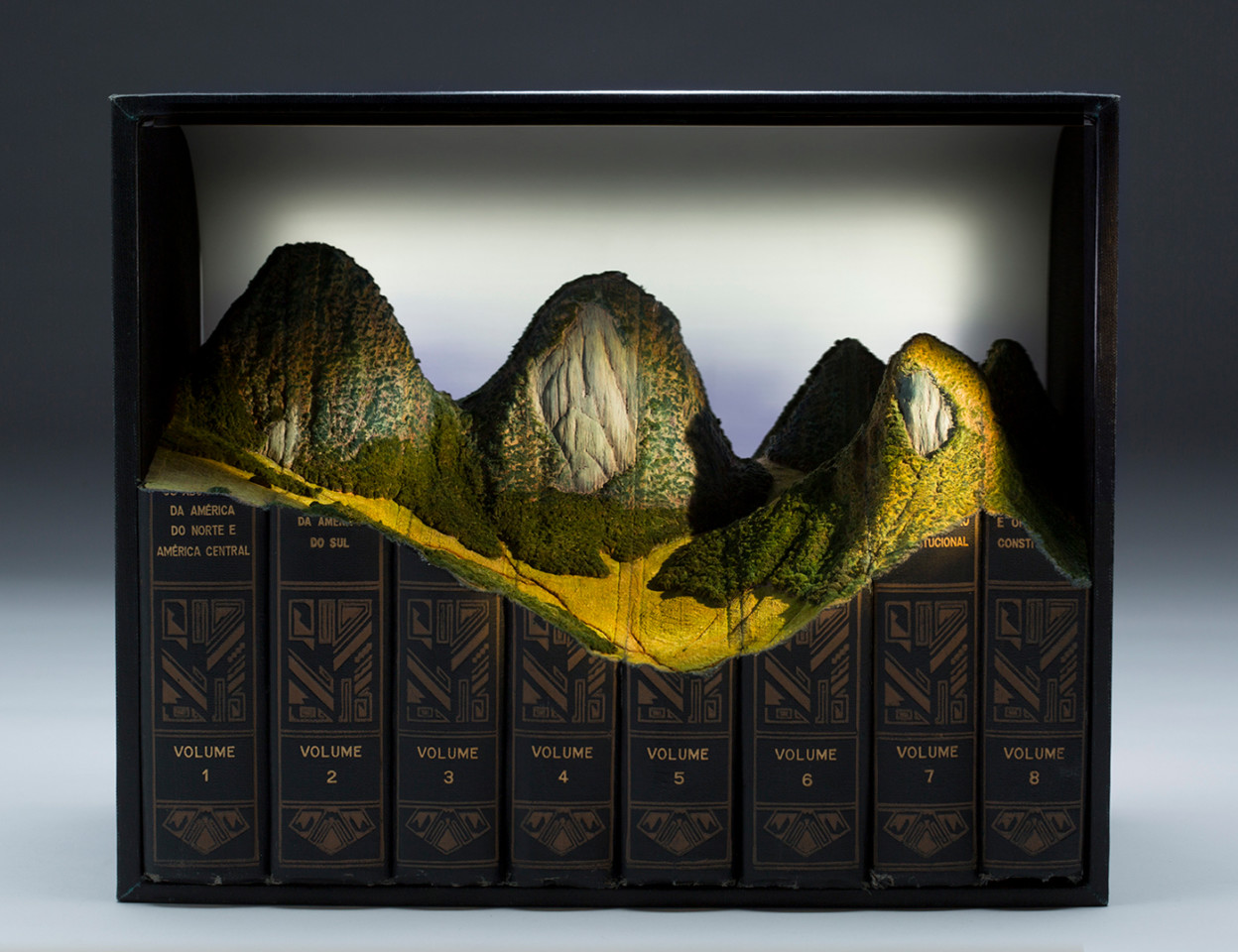 Guy Laramée : quand les livres deviennent montagnes miniatures Des sculptures de montagnes dans de vieux livres par Guy Laramee 1 Des-sculptures-de-montagnes-dans-de-vieux-livres-par-Guy-Laramee-1