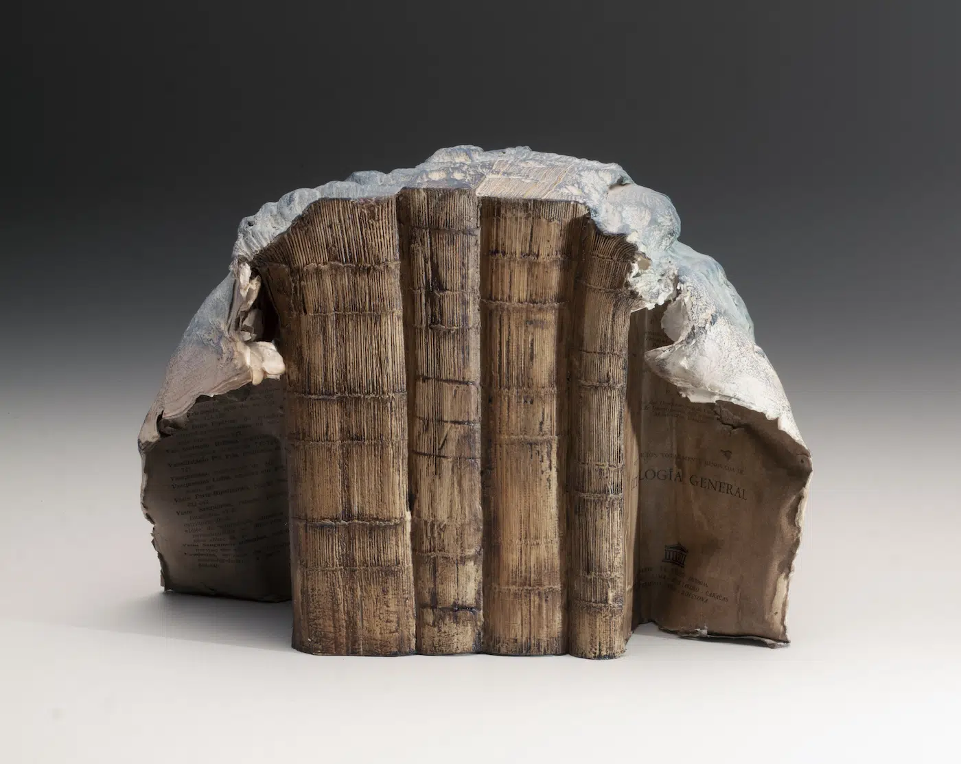 Guy Laramée : quand les livres deviennent montagnes miniatures guy laramee quand les livres deviennent montagnes miniatures 10 guy-laramee-quand-les-livres-deviennent-montagnes-miniatures-10