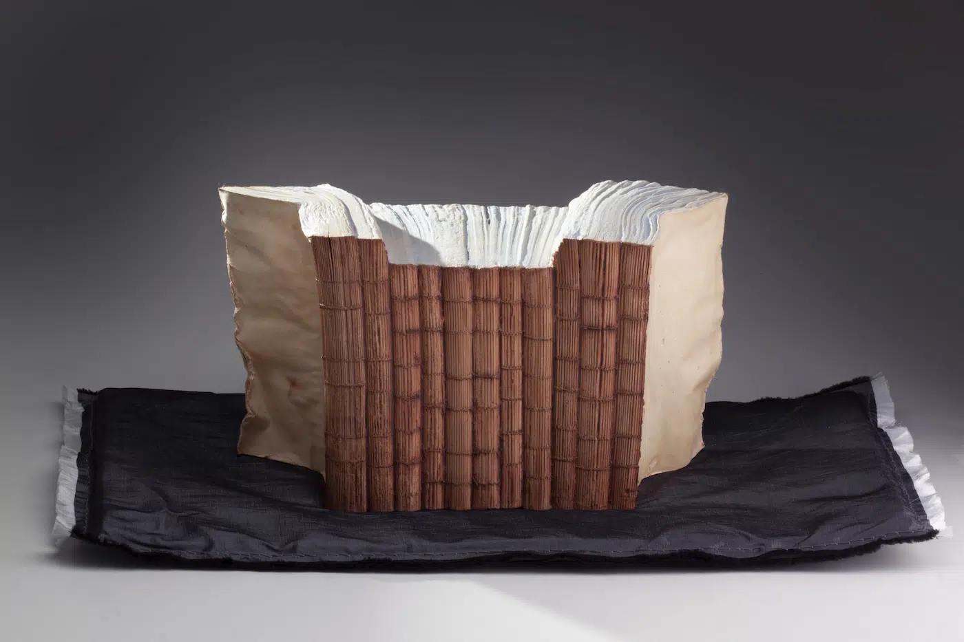 Guy Laramée : quand les livres deviennent montagnes miniatures guy laramee quand les livres deviennent montagnes miniatures 16 guy-laramee-quand-les-livres-deviennent-montagnes-miniatures-16.