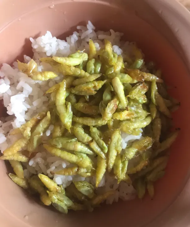 Les chenilles de Cassia sautées : délicatesse insolite du Vietnam qui fait frissonner (et saliver) les chenilles de cassia sautees delicatesse insolite du vietnam qui fait frissonner et saliver 3 les-chenilles-de-cassia-sautees-delicatesse-insolite-du-vietnam-qui-fait-frissonner-et-saliver-3.