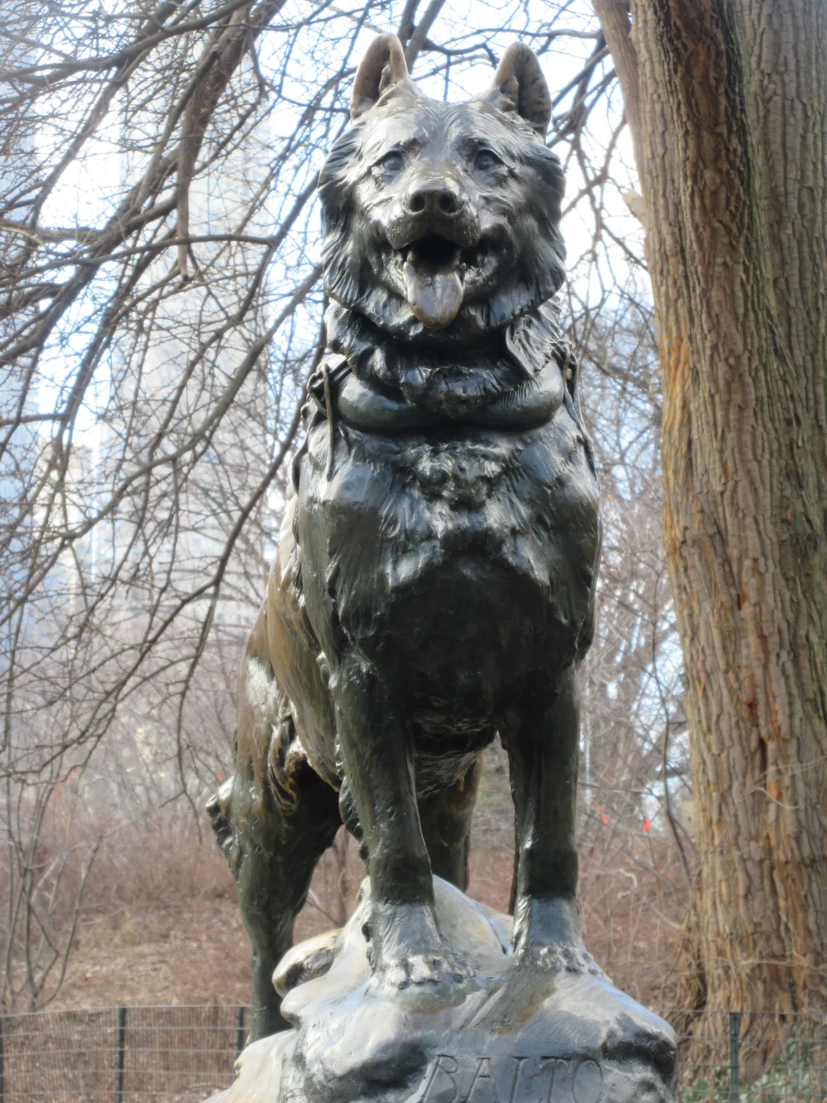 La statue de Balto, chien héros de l'Alaska immortalisé à Central Park la statue de balto chien heros de lalaska immortalise a central park 4 la-statue-de-balto-chien-heros-de-lalaska-immortalise-a-central-park-4
