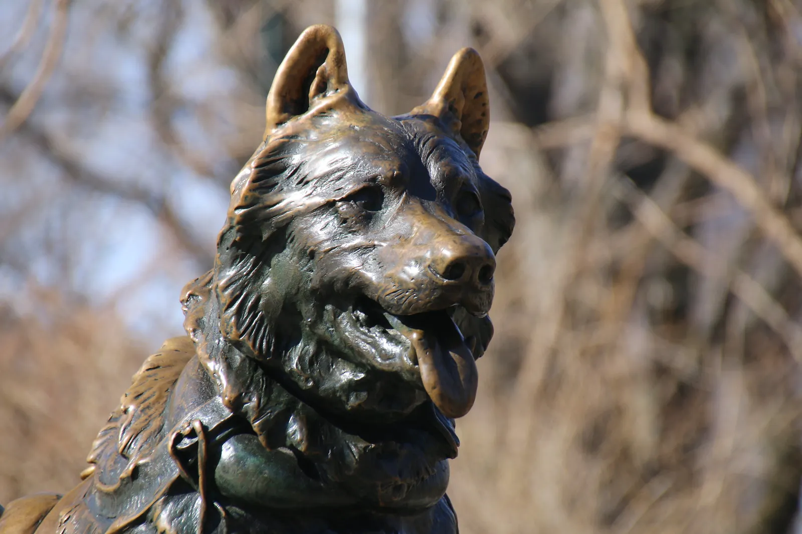 La statue de Balto, chien héros de l'Alaska immortalisé à Central Park la statue de balto chien heros de lalaska immortalise a central park 5 la-statue-de-balto-chien-heros-de-lalaska-immortalise-a-central-park-5