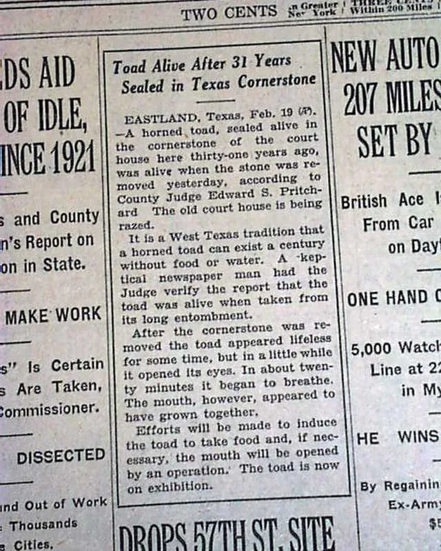 Le lézard à cornes du Texas : la légende d’Old Rip, emmuré vivant pendant 31 ans le lezard a cornes du texas la legende dold rip emmure vivant pendant 31 ans 2 le-lezard-a-cornes-du-texas-la-legende-dold-rip-emmure-vivant-pendant-31-ans-2