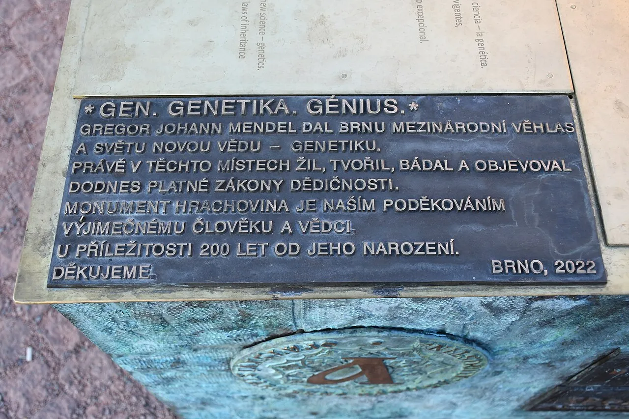 Hrachovina : une forêt de pois en bronze en hommage à Mendel hrachovina une foret de pois en bronze en hommage a mendel 4 hrachovina-une-foret-de-pois-en-bronze-en-hommage-a-mendel-4