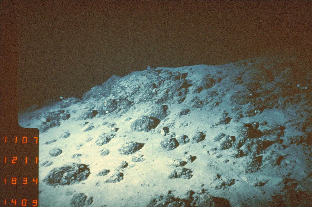 Portugal : un nouveau sanctuaire marin géant autour de la dorsale de Gorringe portugal un nouveau sanctuaire marin geant autour de la dorsale de gorringe 1 portugal-un-nouveau-sanctuaire-marin-geant-autour-de-la-dorsale-de-gorringe-1