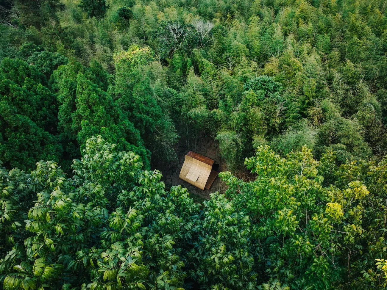 Un zongzi grandeur nature : la cabane en bambou “Sticky Rice Dumpling” de Cheng Tsung Feng un zongzi grandeur nature la cabane en bambou sticky rice dumpling de cheng tsung feng 6 un-zongzi-grandeur-nature-la-cabane-en-bambou-sticky-rice-dumpling-de-cheng-tsung-feng-6