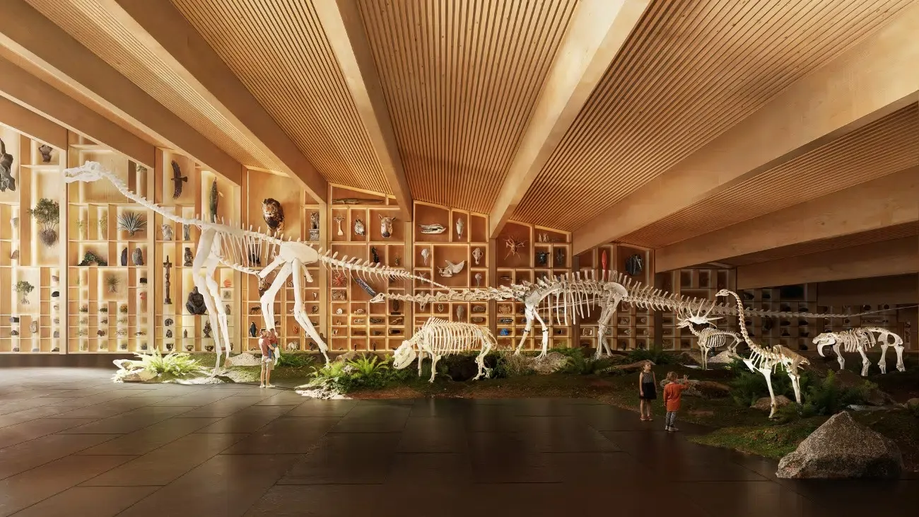 Le futur musée d’histoire naturelle hongrois : quand l’architecture se fond dans la forêt le futur musee dhistoire naturelle hongrois quand larchitecture se fond dans la foret 5 le-futur-musee-dhistoire-naturelle-hongrois-quand-larchitecture-se-fond-dans-la-foret-5