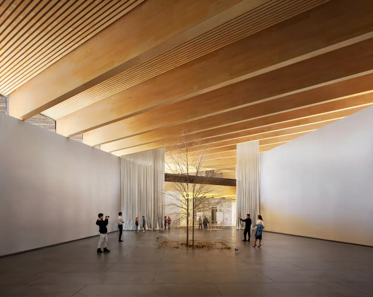 Le futur musée d’histoire naturelle hongrois : quand l’architecture se fond dans la forêt le futur musee dhistoire naturelle hongrois quand larchitecture se fond dans la foret 7 le-futur-musee-dhistoire-naturelle-hongrois-quand-larchitecture-se-fond-dans-la-foret-7