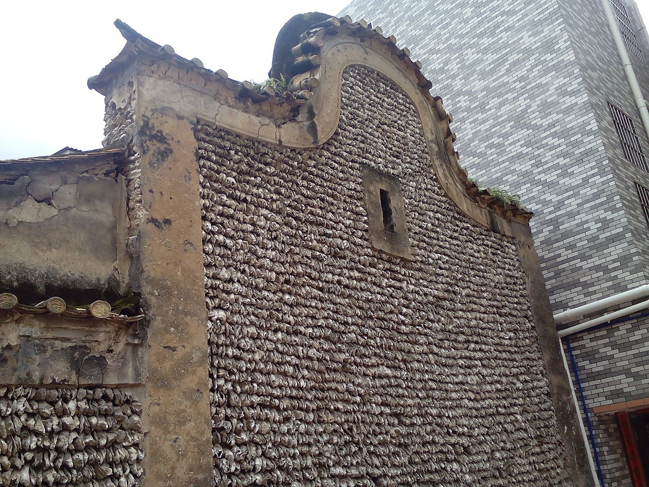 Les maisons en coquilles d’huîtres du Guangdong et du Guangzhou les maisons en coquilles dhuitres du guangdong et du guangzhou 1 les-maisons-en-coquilles-dhuitres-du-guangdong-et-du-guangzhou-1