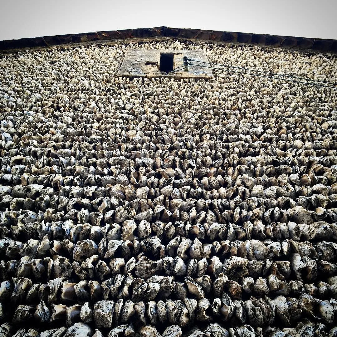 Les maisons en coquilles d’huîtres du Guangdong et du Guangzhou les maisons en coquilles dhuitres du guangdong et du guangzhou 2 les-maisons-en-coquilles-dhuitres-du-guangdong-et-du-guangzhou-2