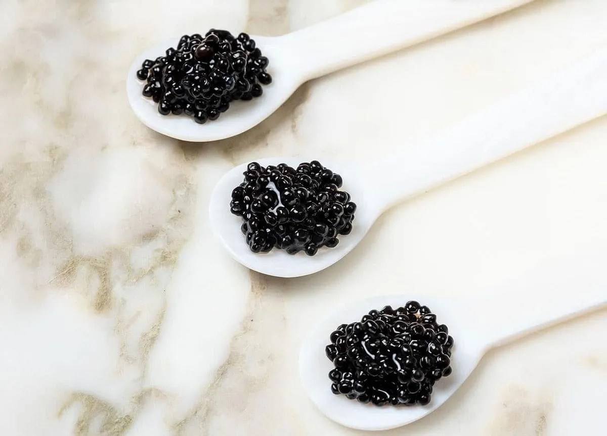 Un caviar végétal à base d’algues : Zeroe révolutionne le luxe durable un caviar vegetal a base dalgues zeroe revolutionne le luxe durable 2 un-caviar-vegetal-a-base-dalgues-zeroe-revolutionne-le-luxe-durable-2