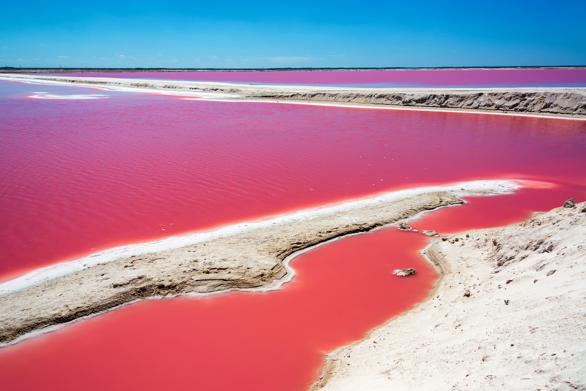Les lacs roses du Yucatán : Las Coloradas, un paysage irréel au cœur du Mexique es lacs roses du yucatan las coloradas un paysage irreel au coeur du mexique 1 les-lacs-roses-du-yucatan-las-coloradas-un-paysage-irreel-au-coeur-du-mexique-1