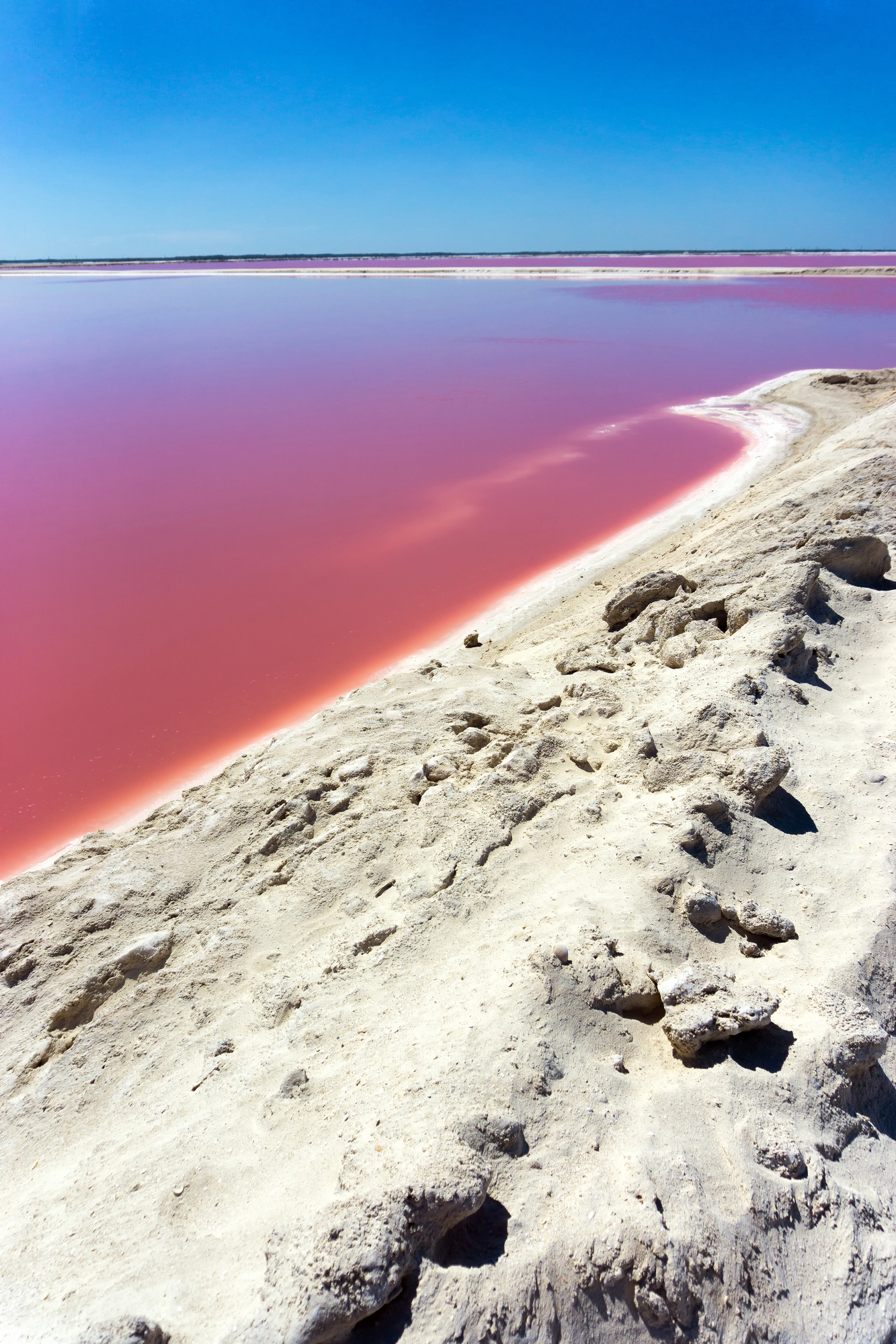 Les lacs roses du Yucatán : Las Coloradas, un paysage irréel au cœur du Mexique es lacs roses du yucatan las coloradas un paysage irreel au coeur du mexique 4 es-lacs-roses-du-yucatan-las-coloradas-un-paysage-irreel-au-coeur-du-mexique-3