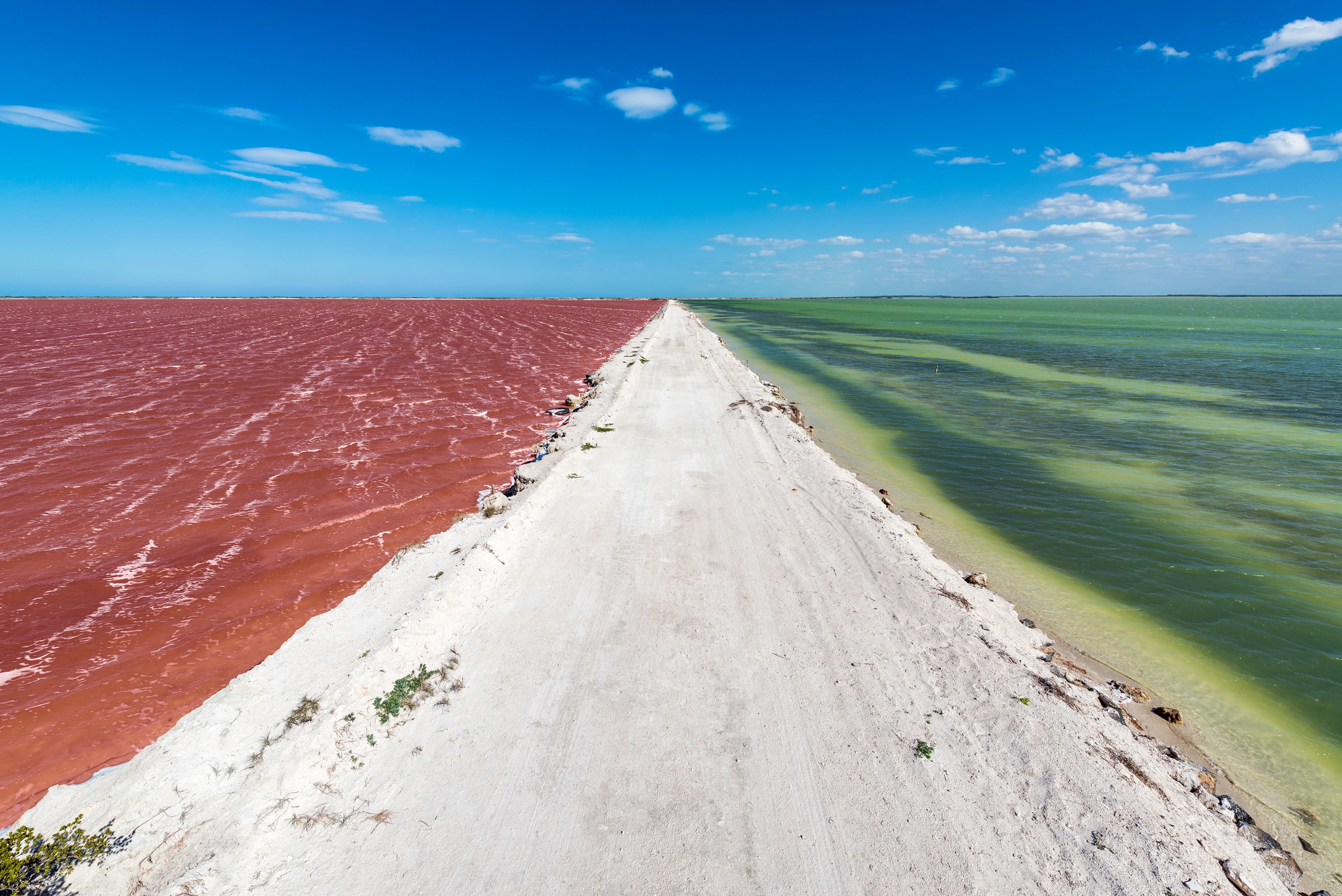 Les lacs roses du Yucatán : Las Coloradas, un paysage irréel au cœur du Mexique es lacs roses du yucatan las coloradas un paysage irreel au coeur du mexique 5 es-lacs-roses-du-yucatan-las-coloradas-un-paysage-irreel-au-coeur-du-mexique-5