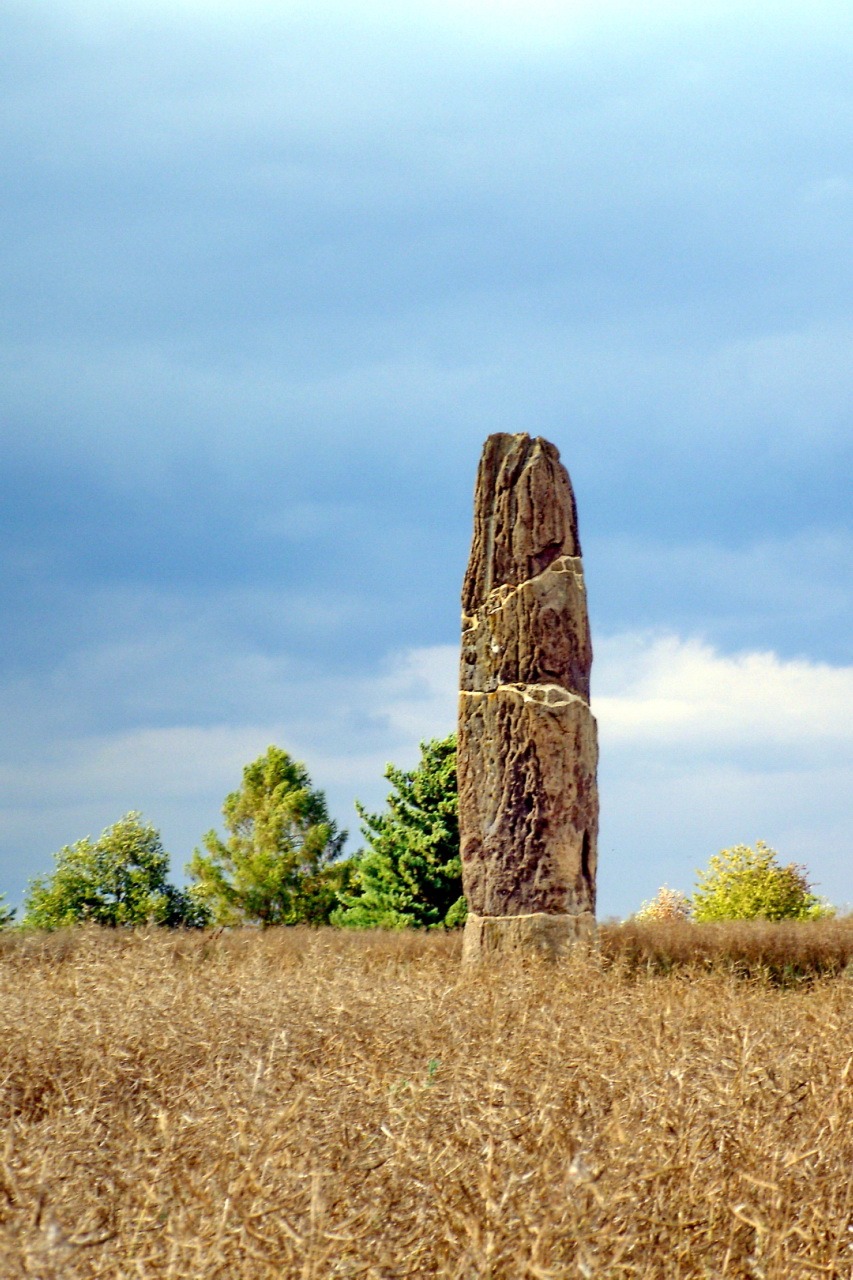 Gollenstein : le menhir géant d’Allemagne que la guerre a brisé… avant de ressusciter gollenstein menhir geant allemagne 1 gollenstein-menhir-geant-allemagne-1