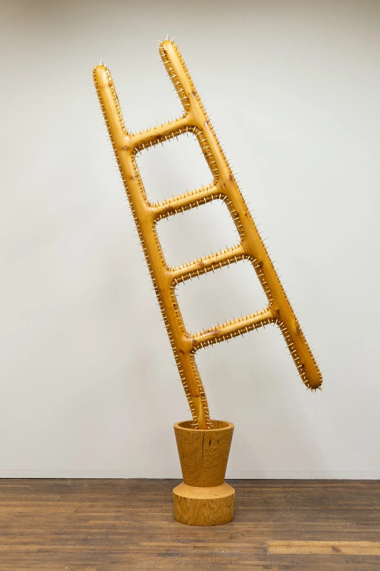 Raul De Lara : le sculpteur bois contemporain qui brouille les frontières raul de lara le sculpteur bois contemporain echelle epines raul-de-lara-le-sculpteur-bois-contemporain-echelle-epines