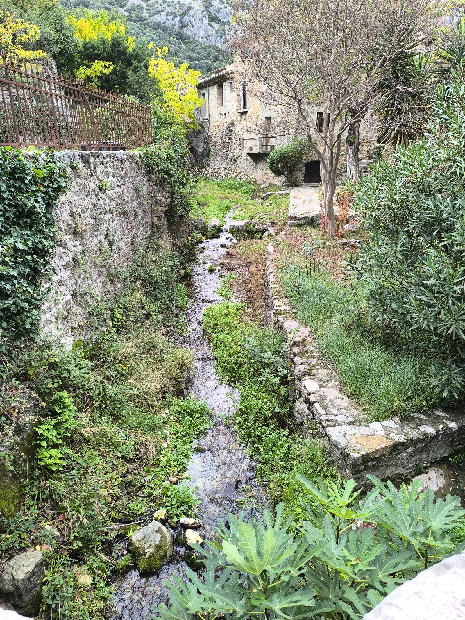 Saint-Guilhem-le-Désert : joyau médiéval et nature sauvage dans les gorges de l’Hérault saint guilhem le desert gorges herault 10 saint-guilhem-le-desert-gorges-herault-10