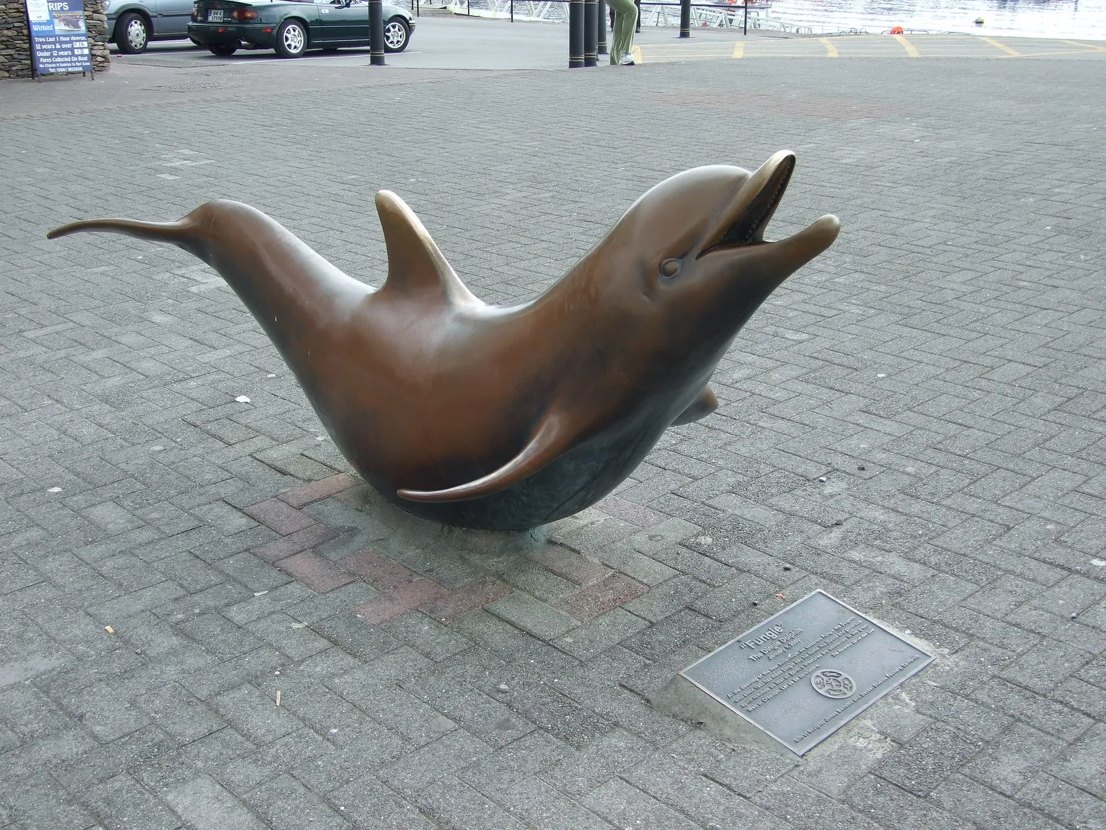 Fungie, le dauphin de Dingle : la légende irlandaise devenue statue fungie le dauphin de dingle la legende irlandaise devenue statue 5 fungie-le-dauphin-de-dingle-la-legende-irlandaise-devenue-statue-5.
