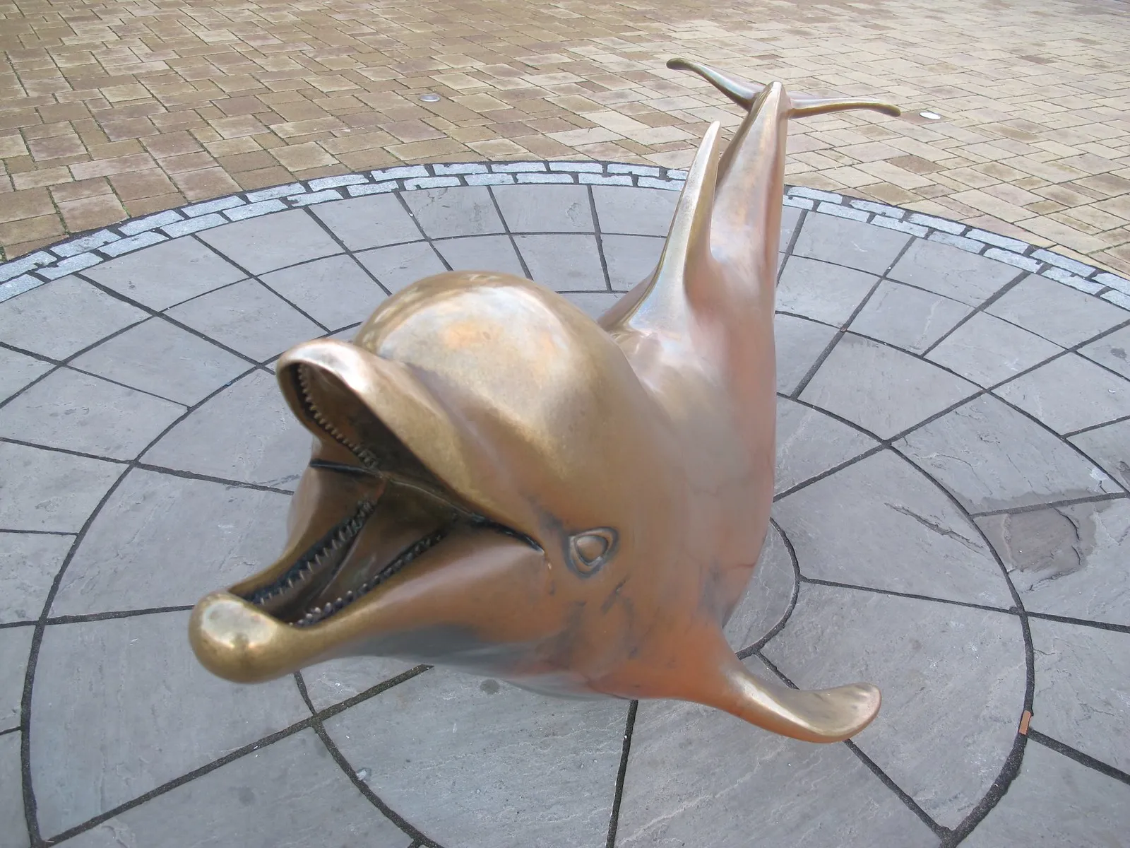 Fungie, le dauphin de Dingle : la légende irlandaise devenue statue fungie le dauphin de dingle la legende irlandaise devenue statue 6 fungie-le-dauphin-de-dingle-la-legende-irlandaise-devenue-statue-6