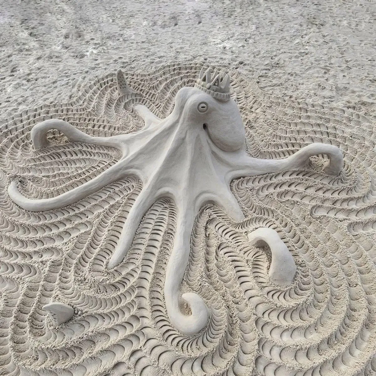 Sand Castle University : l’artiste qui construit des maisons… en sable (et les rase ensuite) sand castle university lartiste qui construit des maisons en sable et les rase ensuite 5 sand-castle-university-lartiste-qui-construit-des-maisons-en-sable-et-les-rase-ensuite-5