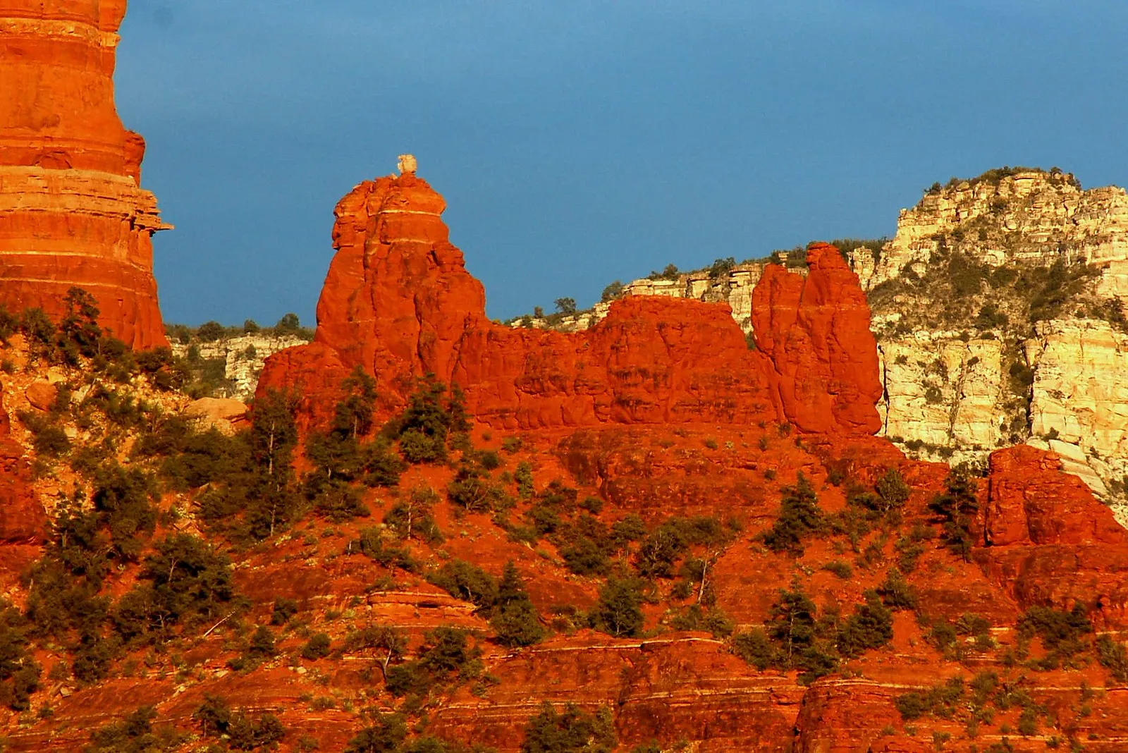 Snoopy Rock, le rocher Snoopy de Sedona snoopy rock le rocher snoopy de sedona 3 Snoopy Rock à Sedona (Arizona), formation rocheuse surnommée le rocher Snoopy 3