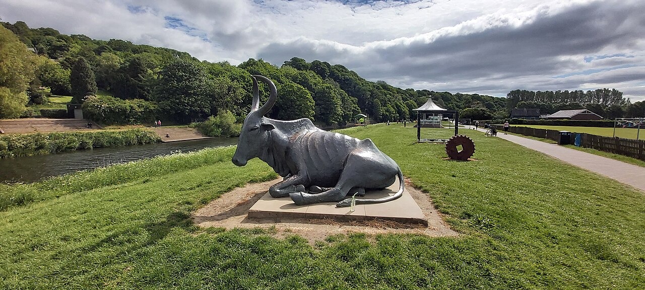 Durham Cow : la vache (ou plutôt le bœuf) qui rumine une légende millénaire durham cow la vache ou plutot le boeuf qui rumine une legende millenaire 1 Durham Cow : la vache (ou plutôt le bœuf) qui rumine une légende millénaire