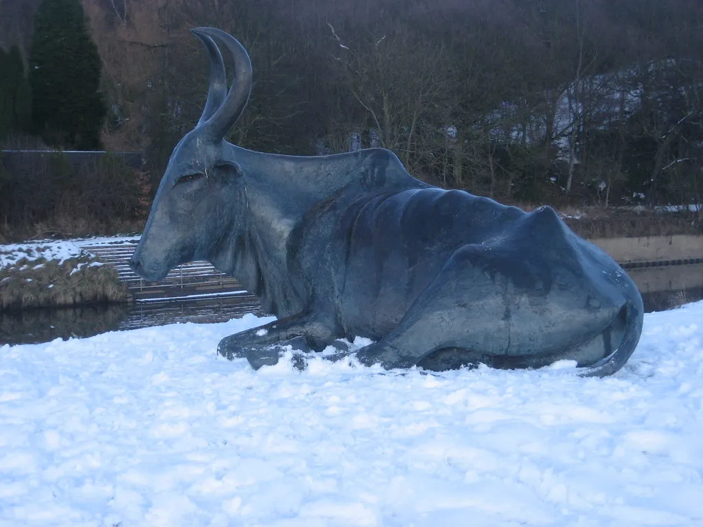 durham cow la vache ou plutot le boeuf qui rumine une legende millenaire 2 durham cow la vache ou plutot le boeuf qui rumine une legende millenaire 2