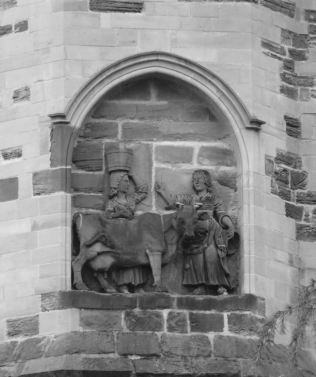 durham cow la vache ou plutot le boeuf qui rumine une legende millenaire 3 durham cow la vache ou plutot le boeuf qui rumine une legende millenaire 3