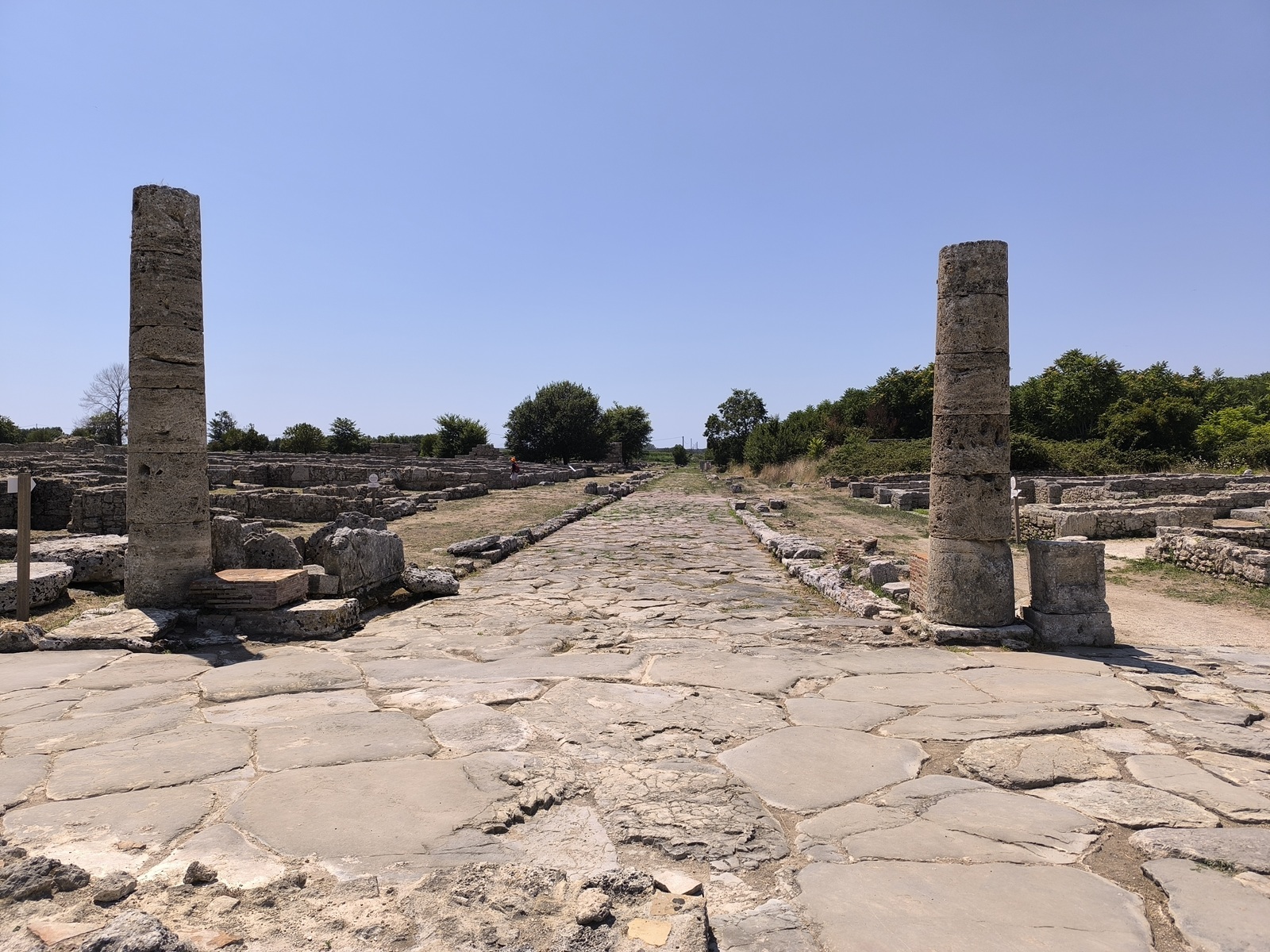 paestum les temples grecs les mieux conserves ditalie et un plongeon vieux de 2 500 ans 2 paestum les temples grecs les mieux conserves ditalie et un plongeon vieux de 2 500 ans 2