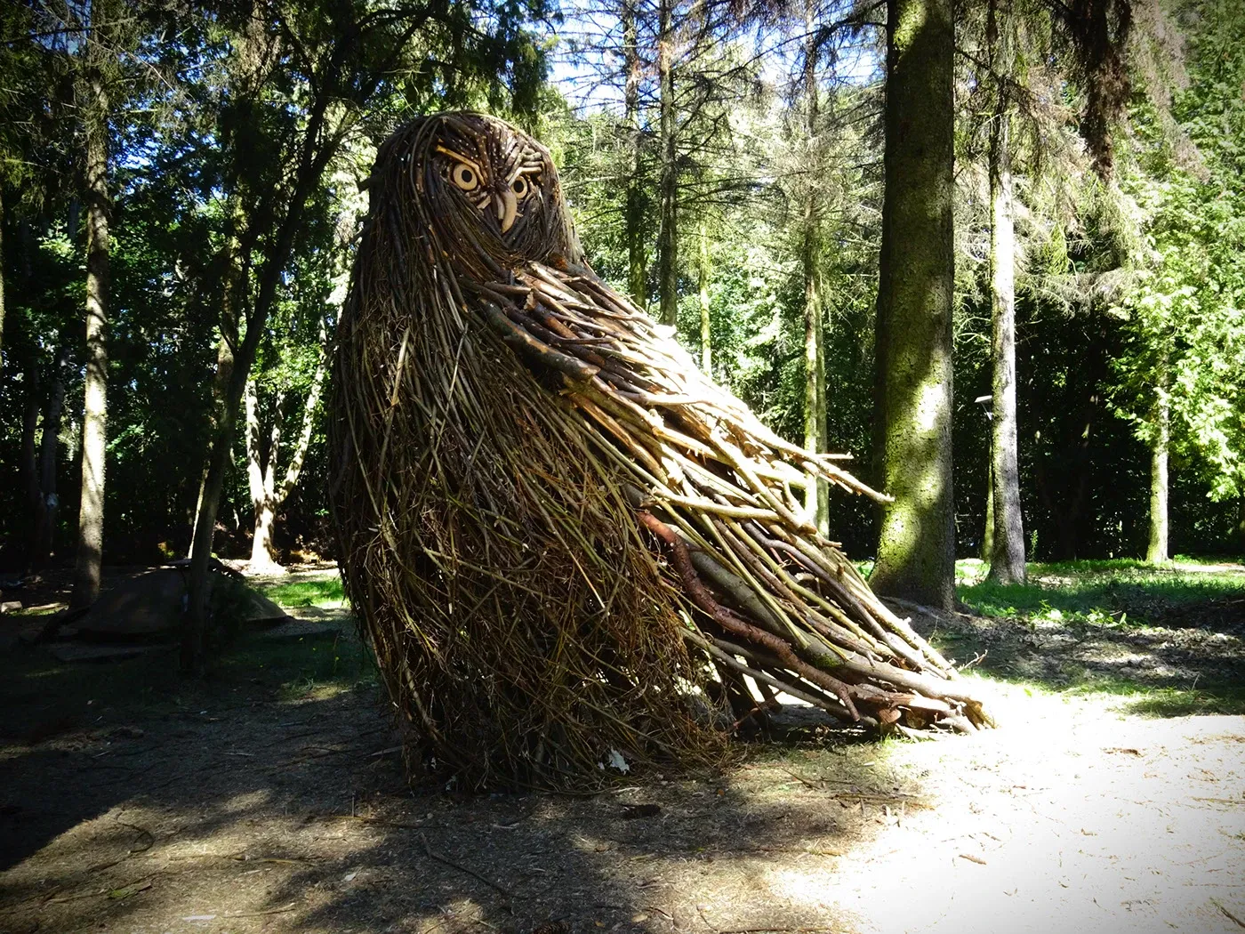 rodolfo liprandi des sculptures danimaux en branches qui semblent sortir de la foret 2 chevêchette rodolfo liprandi des sculptures danimaux en branches qui semblent sortir de la foret 2 chevêchette