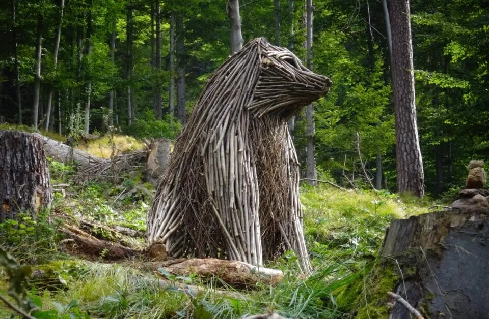 rodolfo liprandi des sculptures danimaux en branches qui semblent sortir de la foret 3 orso rodolfo liprandi des sculptures danimaux en branches qui semblent sortir de la foret 3 orso