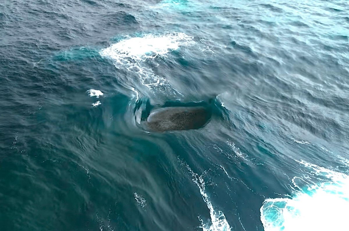 vague la plus folle du monde en australie locean fait un bug mais il est bien reel vague la plus folle du monde en australie locean fait un bug mais il est bien reel