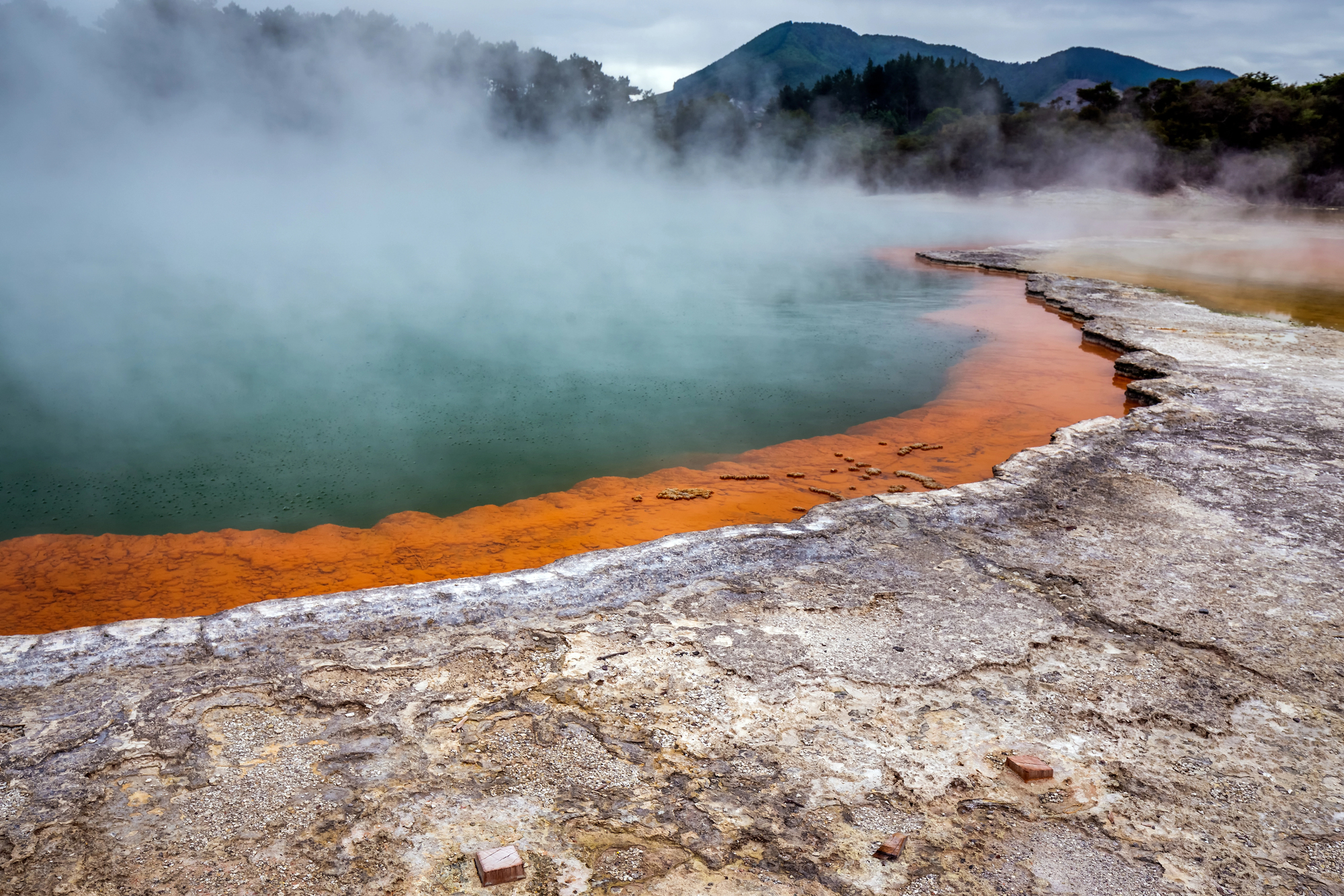 champagne pool bassin geothermique de nouvelle zelande wai o tapu 6 champagne pool bassin geothermique de nouvelle zelande wai o tapu 6