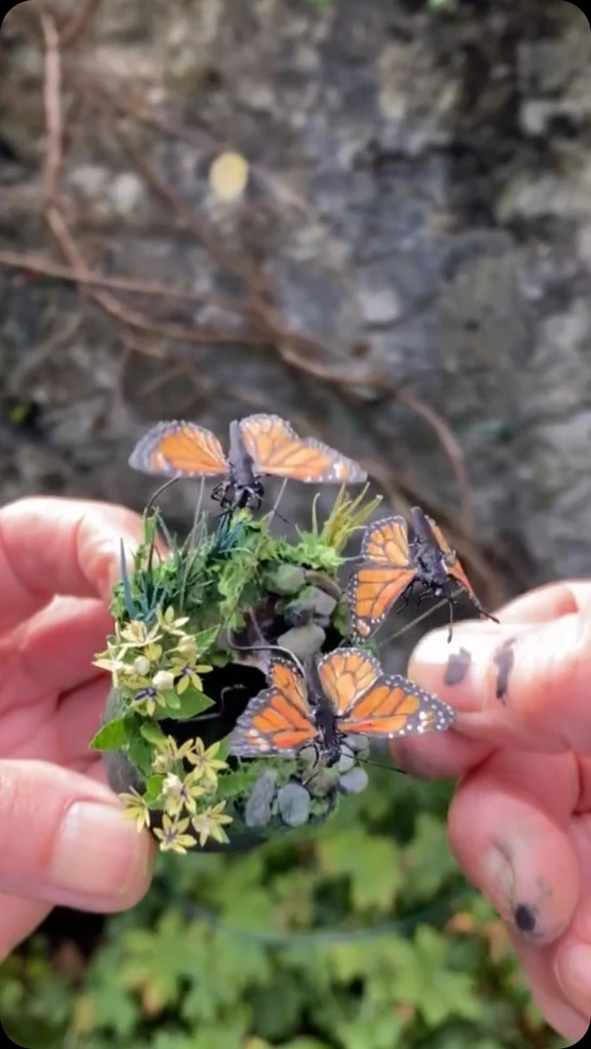 les miniatures animees et sculptures cinetiques de penny thomson 11 papillons les miniatures animees et sculptures cinetiques de penny thomson 11 papillons