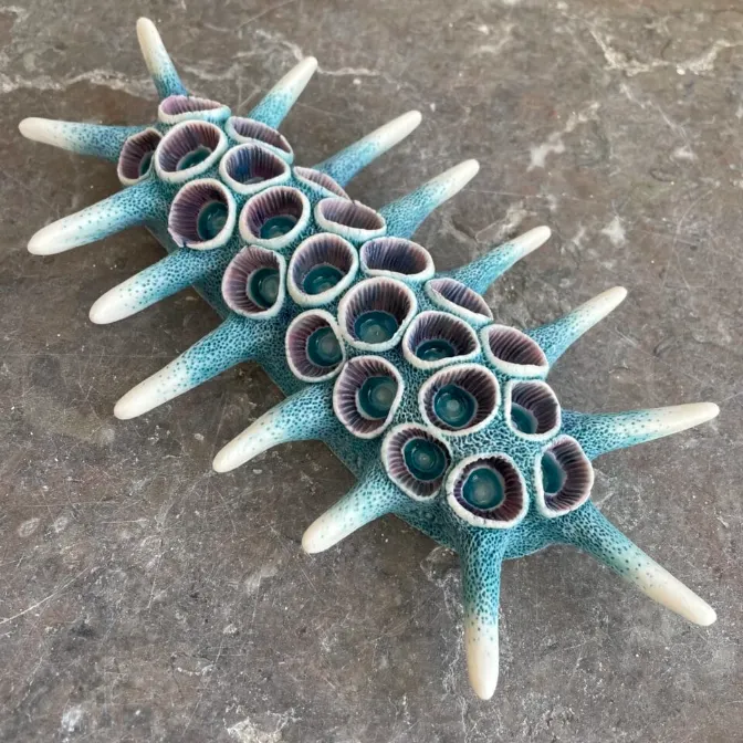 les creatures marines en ceramique de lisa stevens un recif fige dans le temps 2 les creatures marines en ceramique de lisa stevens un recif fige dans le temps 2