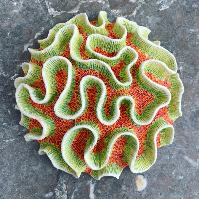 les creatures marines en ceramique de lisa stevens un recif fige dans le temps 5 les creatures marines en ceramique de lisa stevens un recif fige dans le temps 5