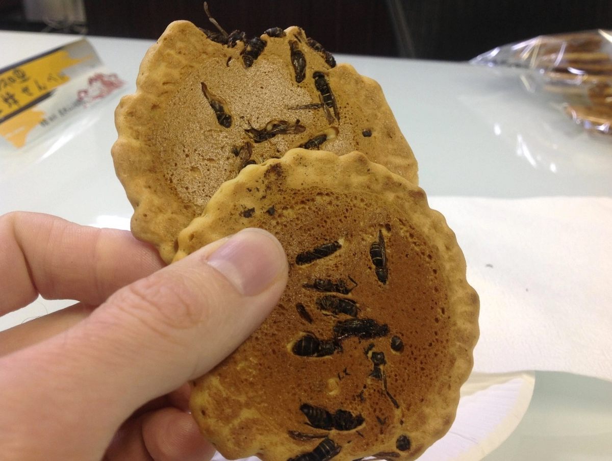 jibachi senbei les crackers japonais aux guepes entieres 1 jibachi senbei les crackers japonais aux guepes entieres 1