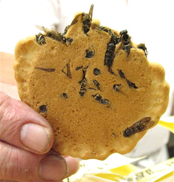 jibachi senbei les crackers japonais aux guepes entieres 2 jibachi senbei les crackers japonais aux guepes entieres 2