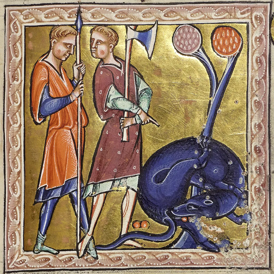 le castoreum cette etrange substance de castor utilisee en parfumerie et parfois dans les aromes 1 Planche extraite du bestiaire d'Aberdeen représentant un castor s'autocastrant pour éviter d'être chassé