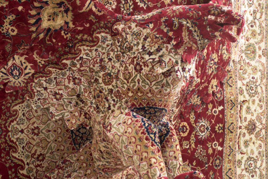 quand un tapis persan decide de sechapper du salon 1 detail red eagle
