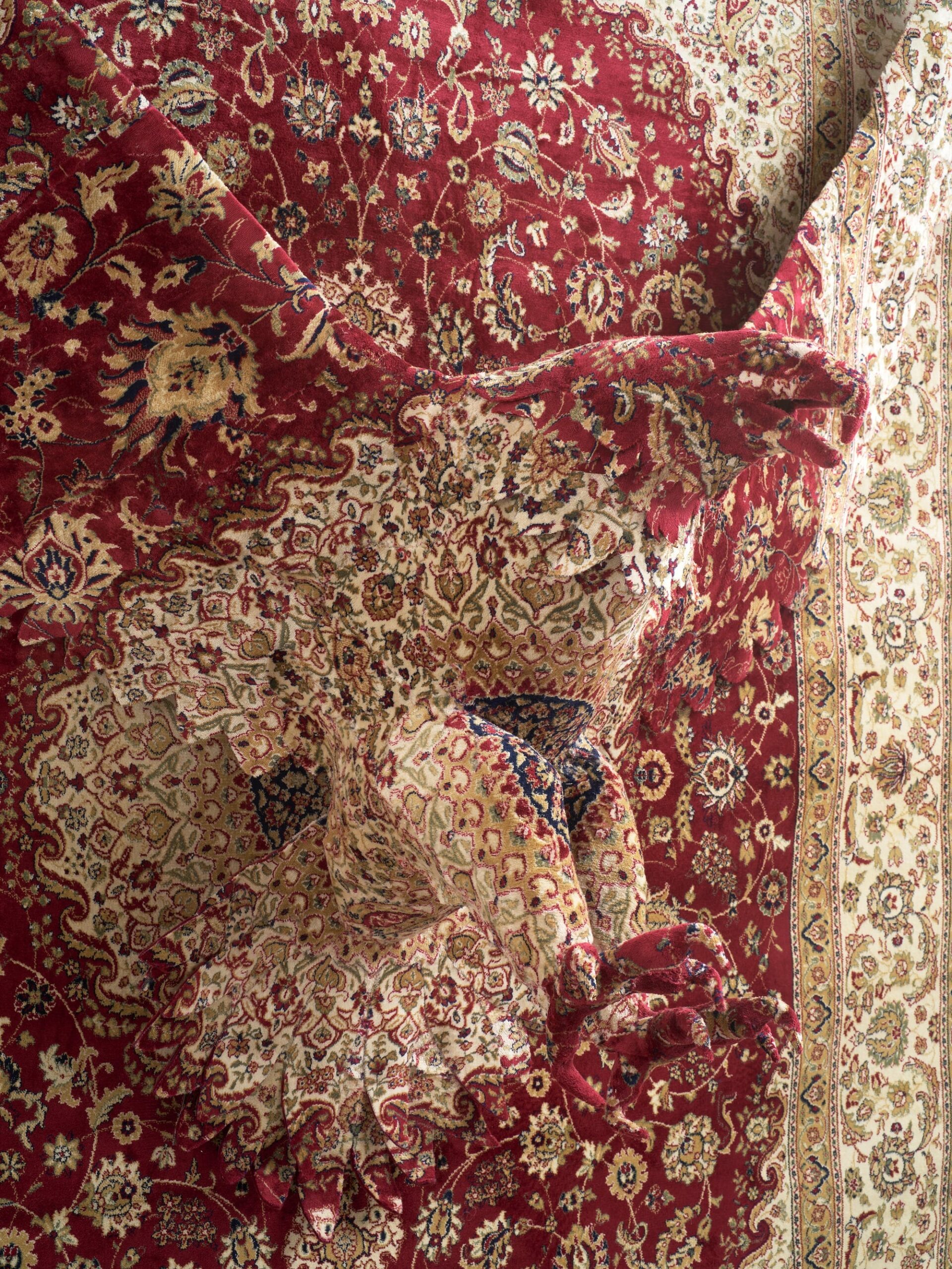 Quand un tapis persan décide de s’échapper du salon quand un tapis persan decide de sechapper du salon 1 detail red eagle scaled Quand un tapis persan décide de s’échapper du salon