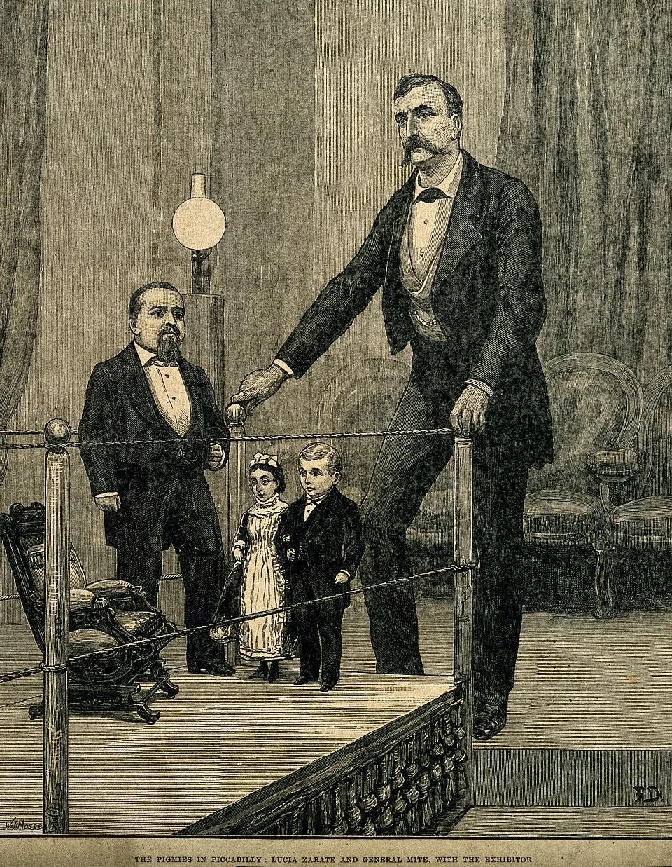 Lucia Zarate et General Mite Gravure sur bois de W.I. Mosses représentant Lucía Zárate avec son collègue, Francis Joseph Flynn, et un homme atteint de nanisme achondroplasique nommé Foot. Le général Tom Pouce est également présent à droite pour comparaison de taille.