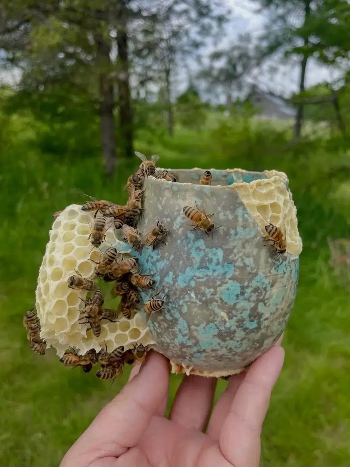 ava roth kintsubee 01 Ava Roth Kintsugi en nid d'abeille , tasse verte n° 1